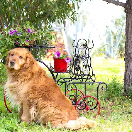 Hotel Destina Bozcaada