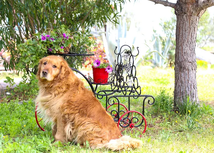 Hotel Destina Bozcaada